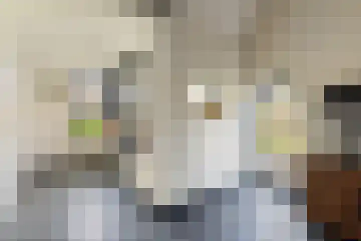 Wijheseweg 5 a Olst thumbnail 20