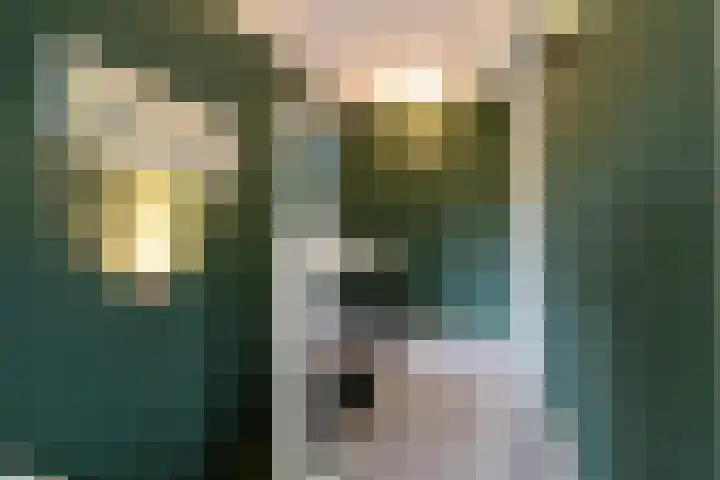 Wijheseweg 5 a Olst thumbnail 26