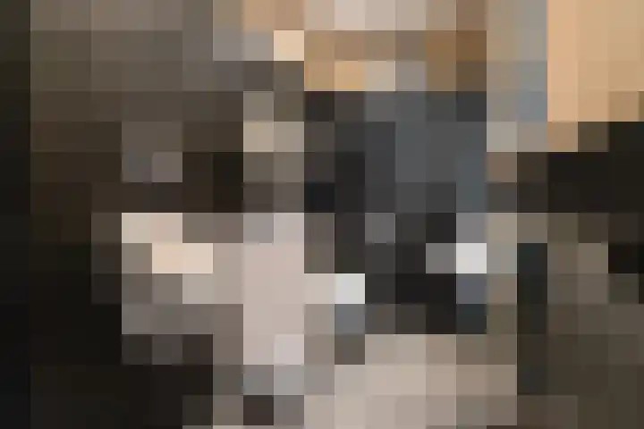 Wijheseweg 5 a Olst thumbnail 27