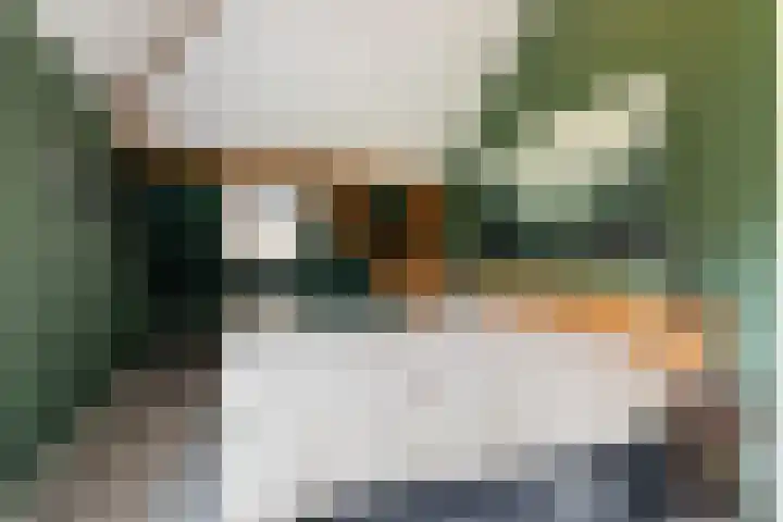 Wijheseweg 5 a Olst thumbnail 34