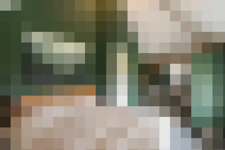 Wijheseweg 5 a Olst thumbnail 35