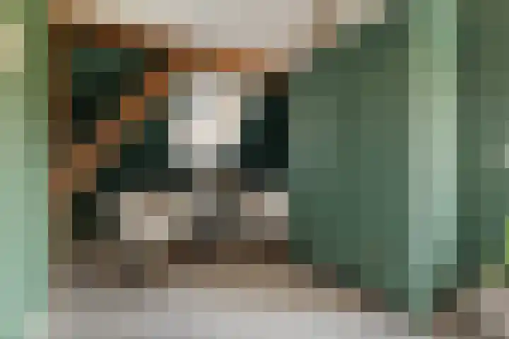 Wijheseweg 5 a Olst thumbnail 36