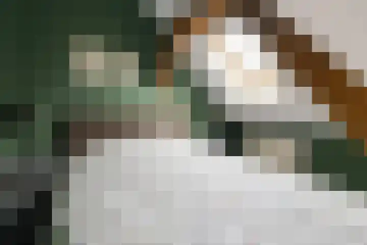 Wijheseweg 5 a Olst thumbnail 37