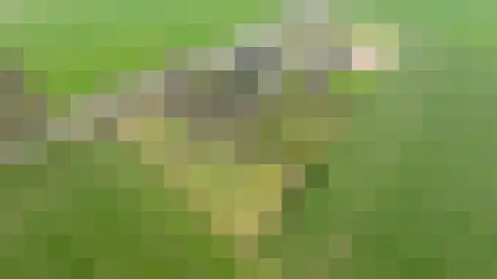 Wijheseweg 5 a Olst thumbnail 4