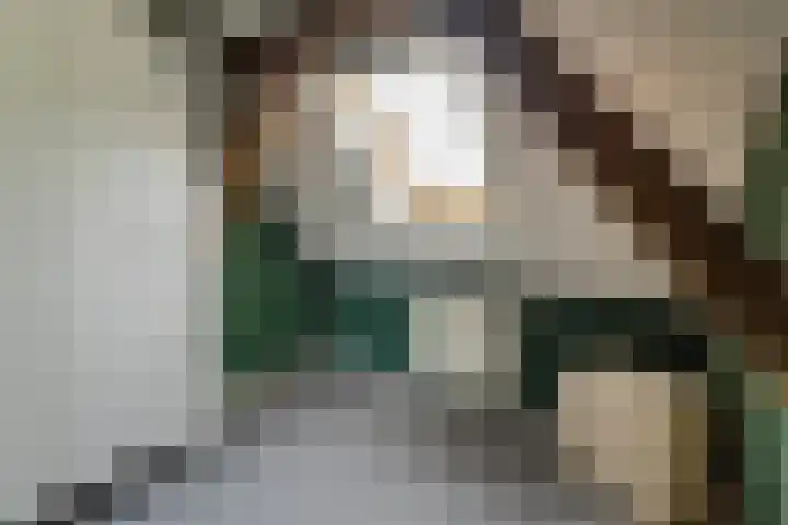 Wijheseweg 5 a Olst thumbnail 40