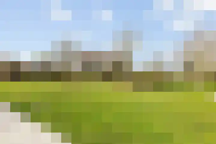 Wijheseweg 5 a Olst thumbnail 45