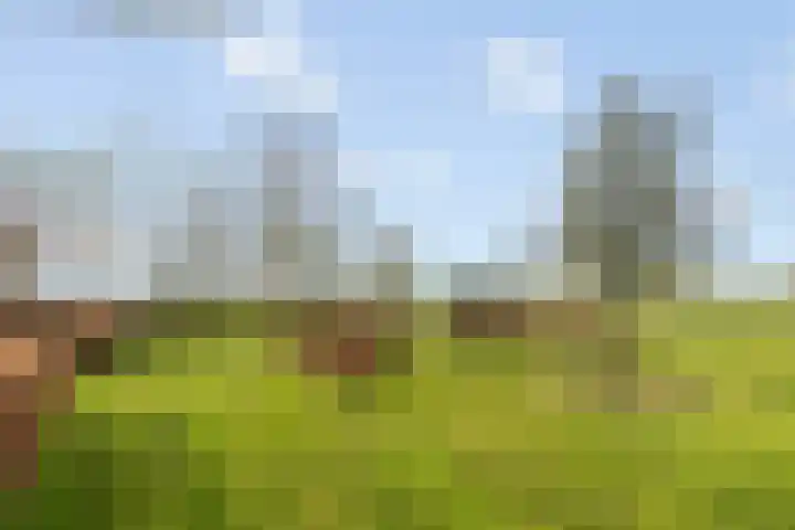 Wijheseweg 5 a Olst thumbnail 46