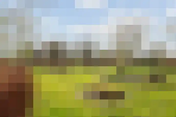 Wijheseweg 5 a Olst thumbnail 47
