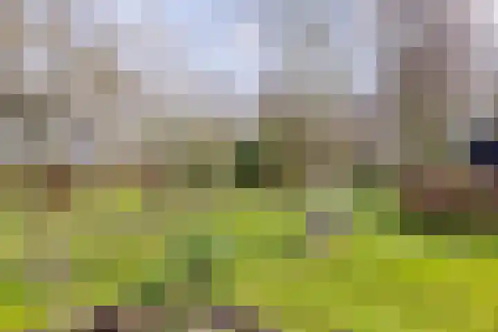 Wijheseweg 5 a Olst thumbnail 48