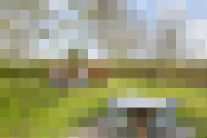 Wijheseweg 5 a Olst thumbnail 49