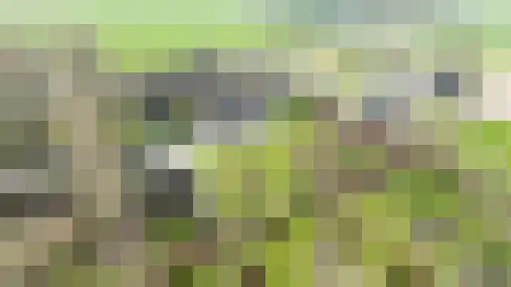Wijheseweg 5 a Olst thumbnail 5