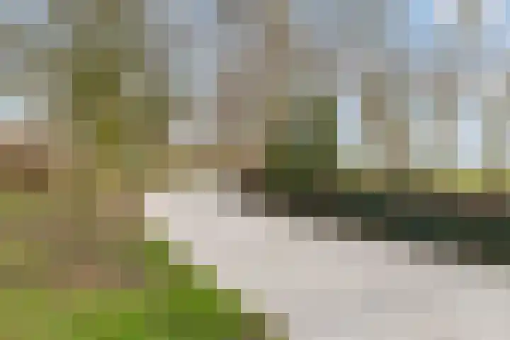 Wijheseweg 5 a Olst thumbnail 52