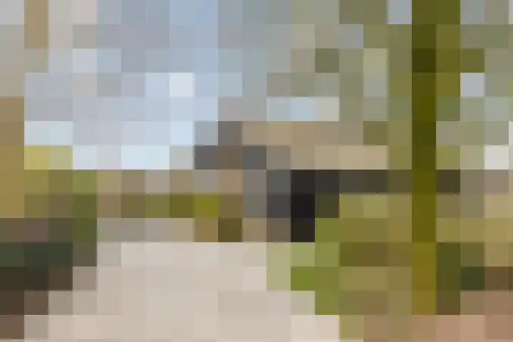Wijheseweg 5 a Olst thumbnail 53