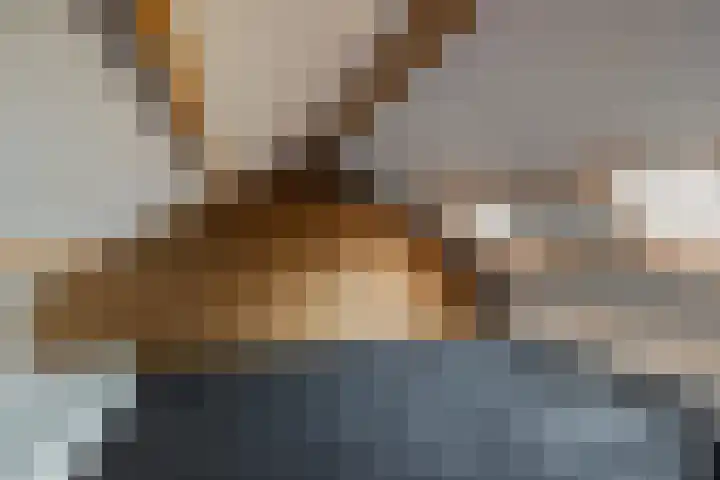 Wijheseweg 5 a Olst thumbnail 58