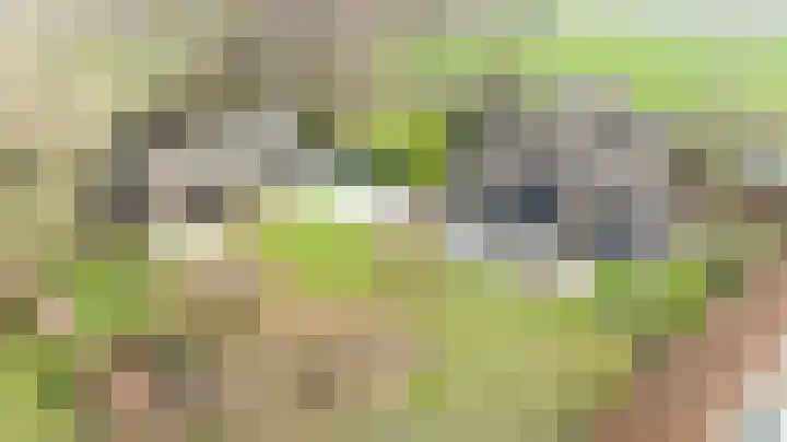 Wijheseweg 5 a Olst thumbnail 6