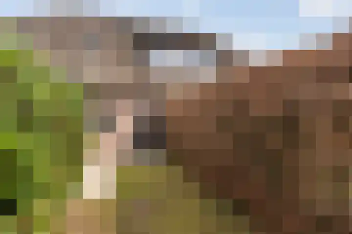 Wijheseweg 5 a Olst thumbnail 60