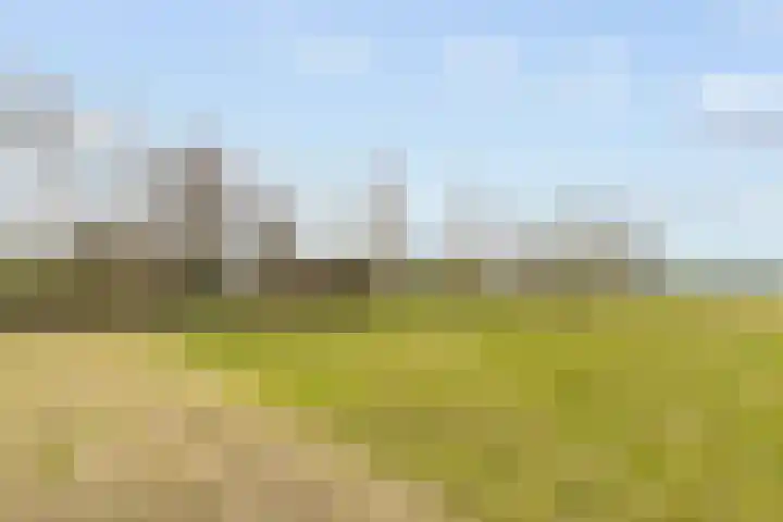 Wijheseweg 5 a Olst thumbnail 61