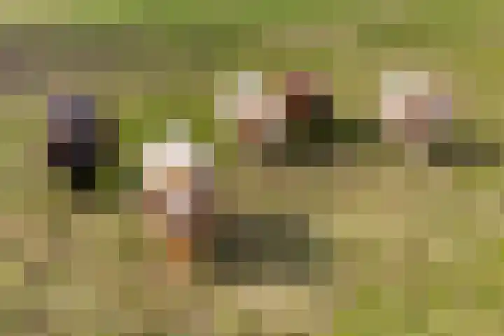 Wijheseweg 5 a Olst thumbnail 62