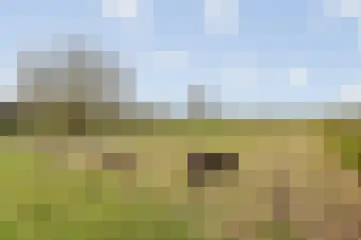 Wijheseweg 5 a Olst thumbnail 63