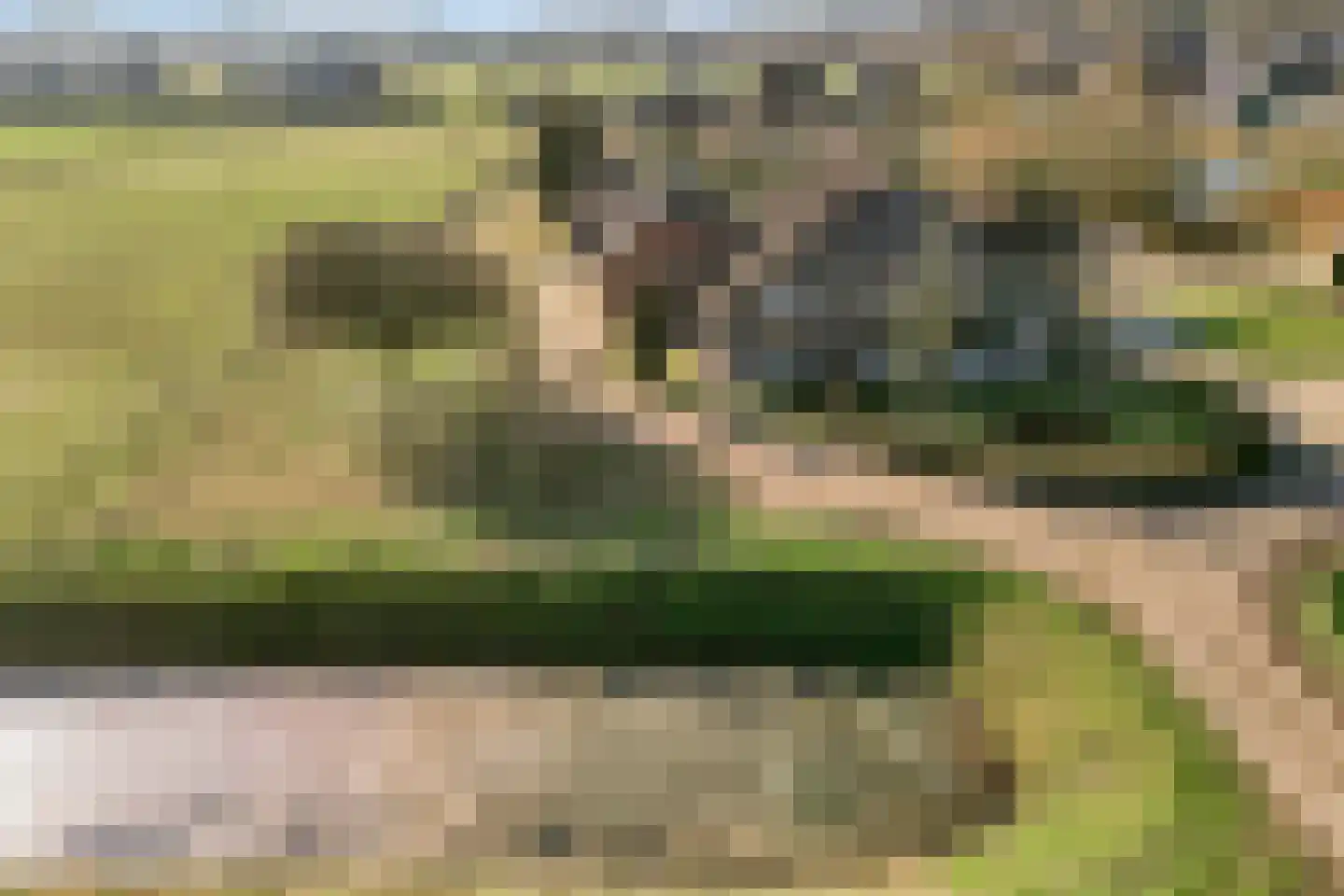 Wijheseweg 56 in Zwolle