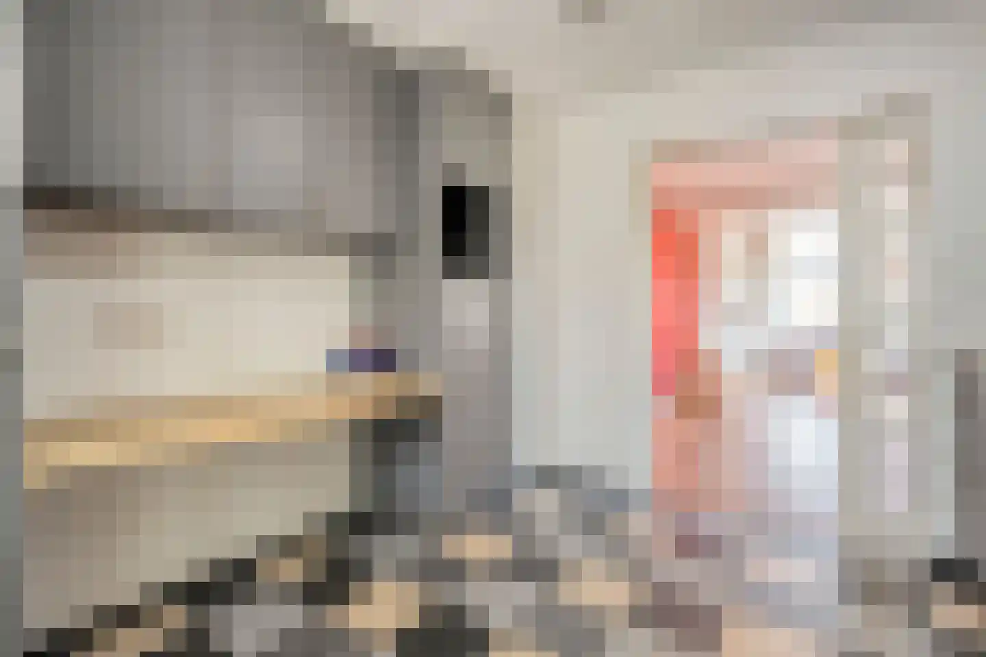 Wijheseweg 56 Zwolle thumbnail 21