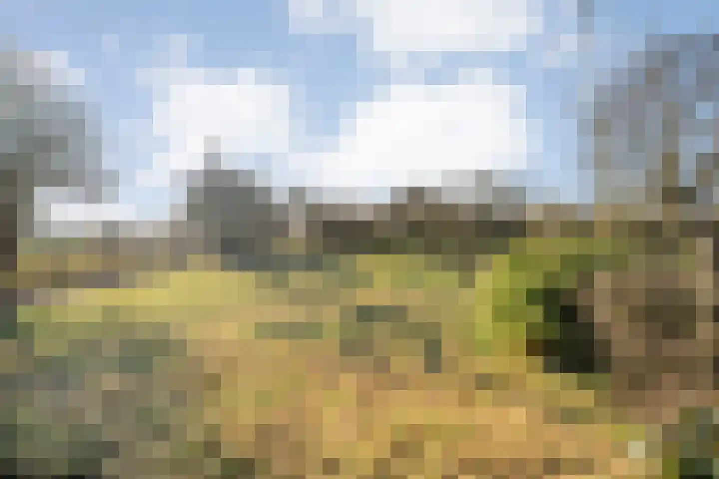 Wijheseweg 56 Zwolle thumbnail 49