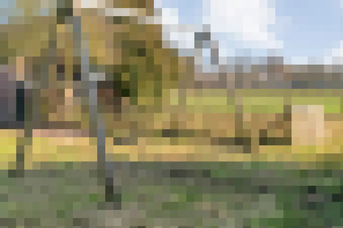 Wijheseweg 56 Zwolle thumbnail 51
