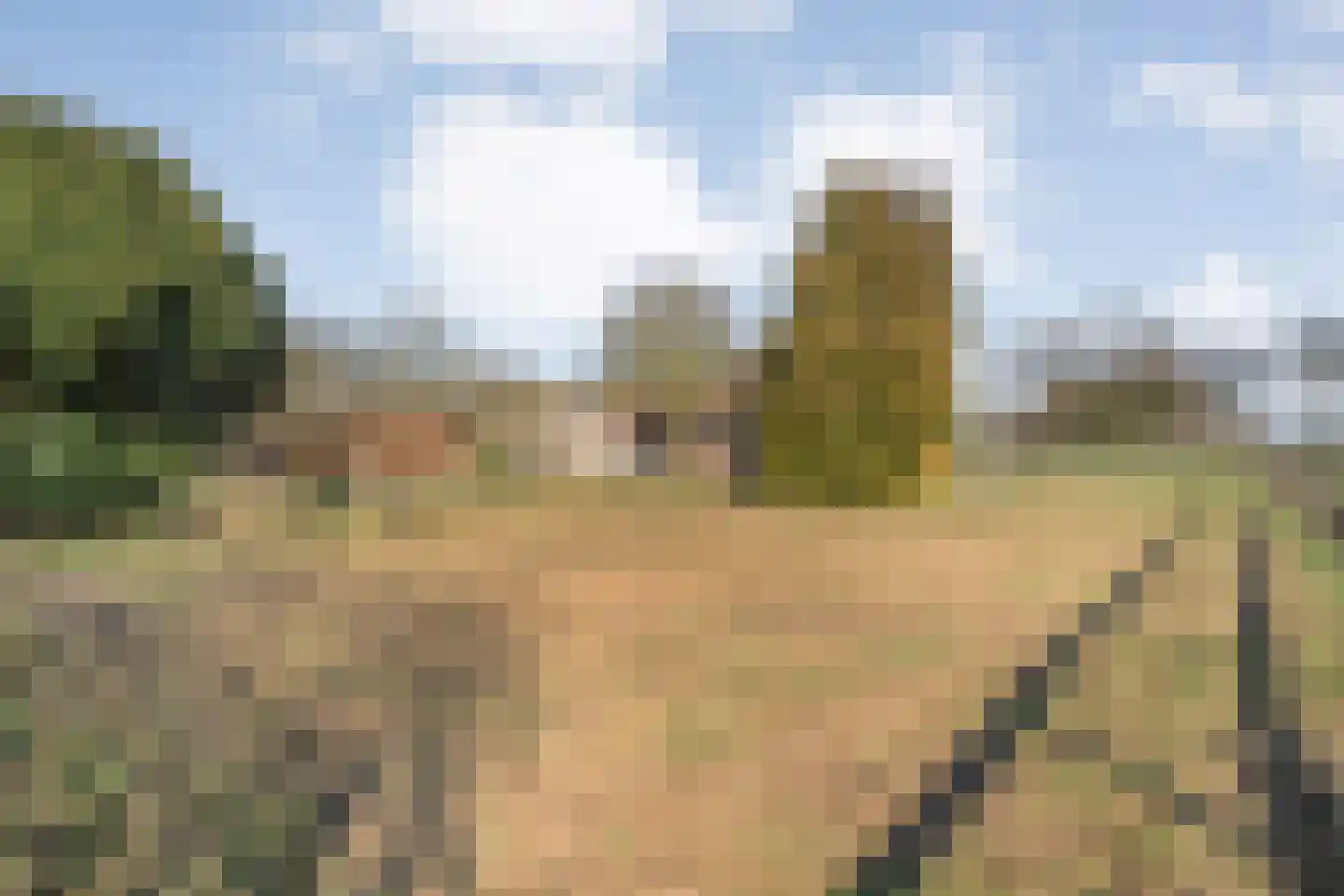 Wijheseweg 56 Zwolle thumbnail 52