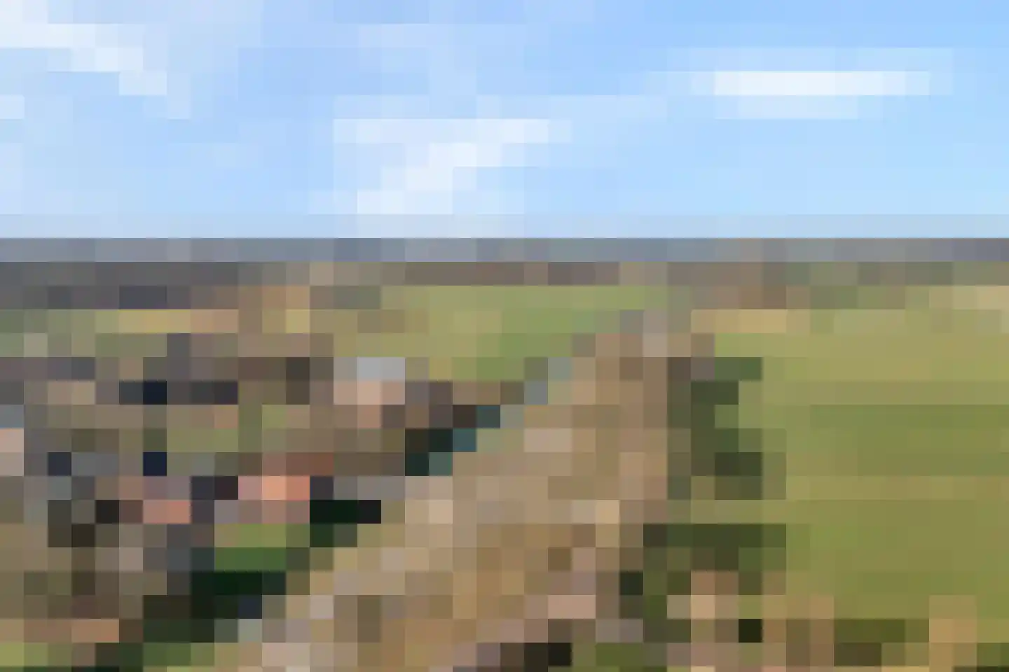 Wijheseweg 56 Zwolle thumbnail 6