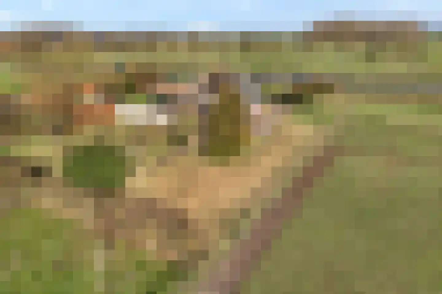 Wijheseweg 56 Zwolle thumbnail 8