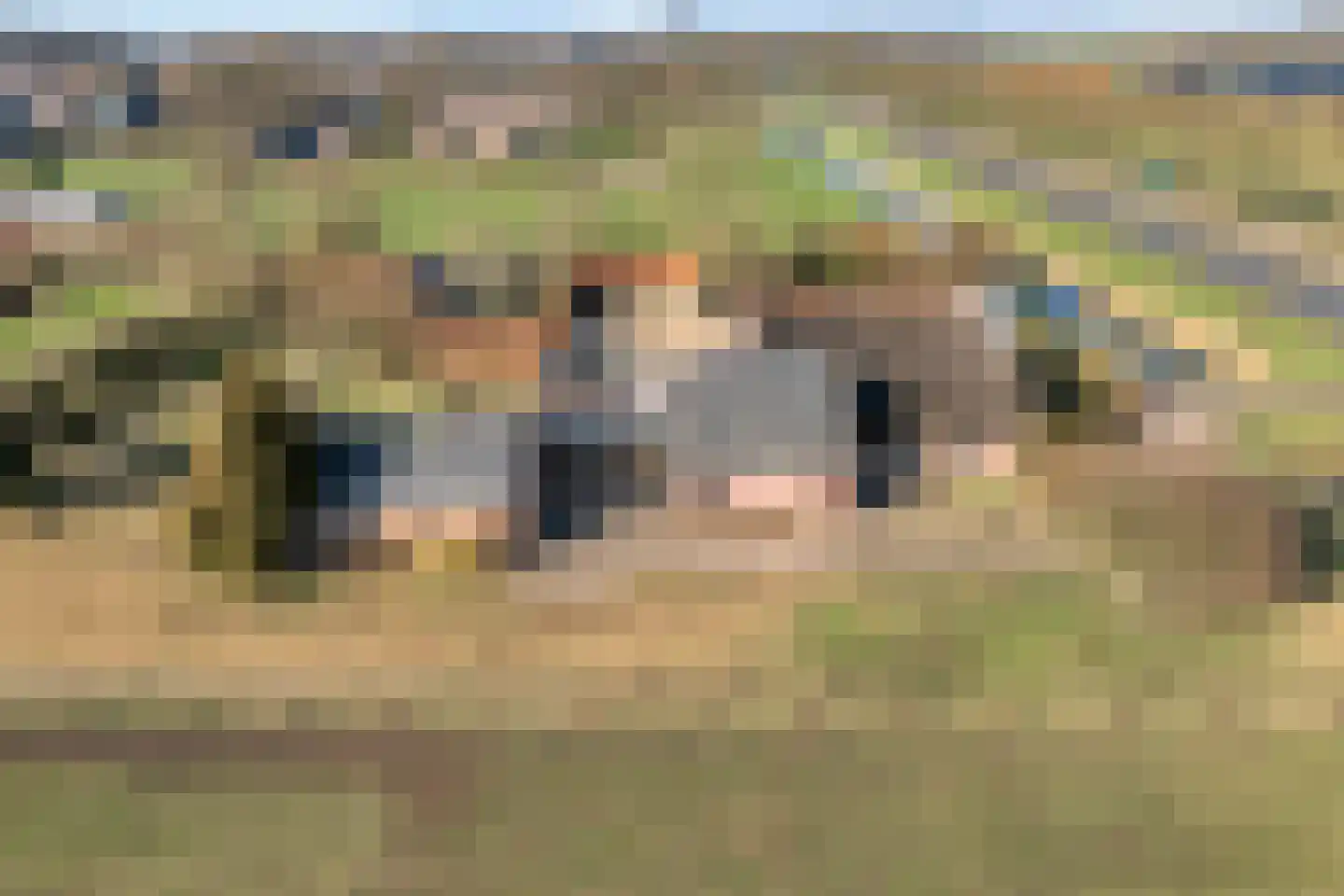 Wijheseweg 56 Zwolle thumbnail 9