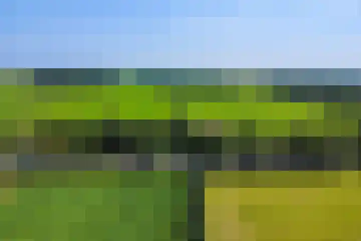 Wijheseweg 59 Zwolle thumbnail 4