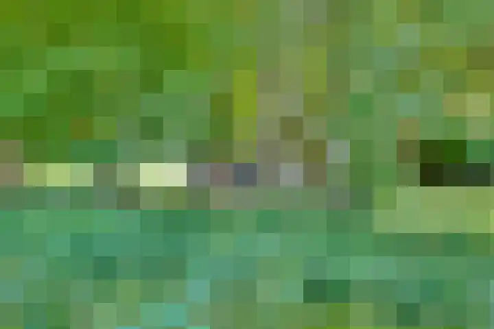 Wijheseweg 59 Zwolle thumbnail 5