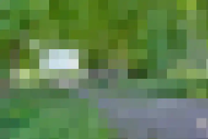 Wijheseweg 59 Zwolle thumbnail 6
