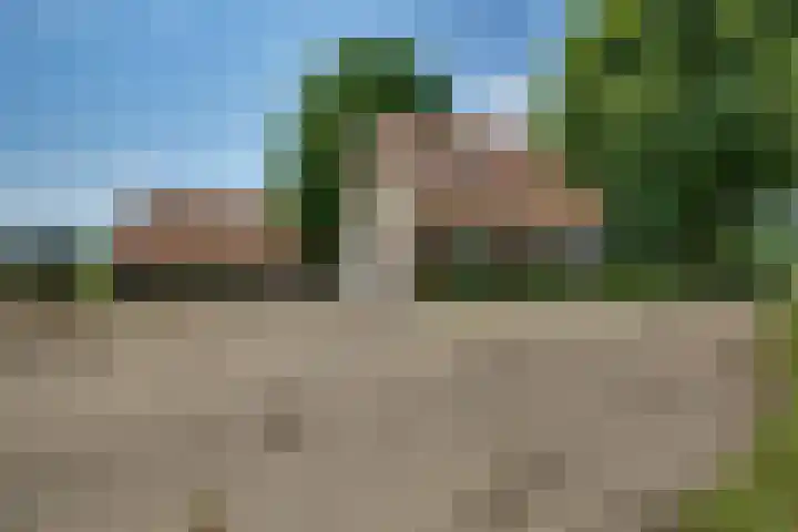 Wijheseweg 59 Zwolle thumbnail 7