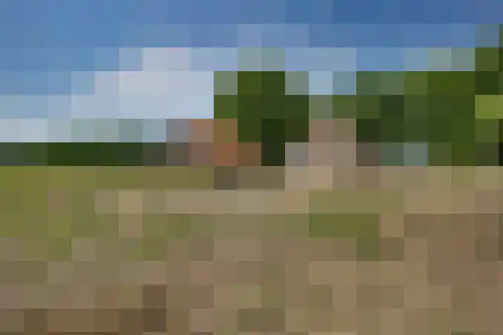 Wijheseweg 59 Zwolle thumbnail 8