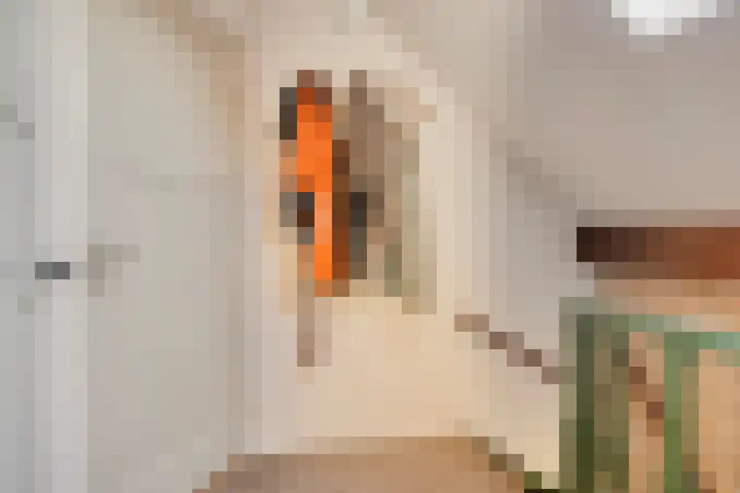 Wijheseweg 6 Raalte thumbnail 21
