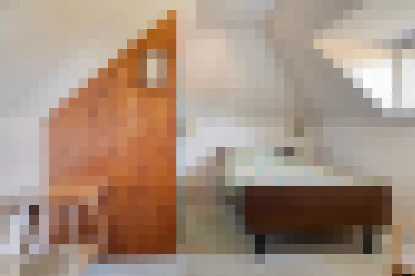 Wijheseweg 6 Raalte thumbnail 22