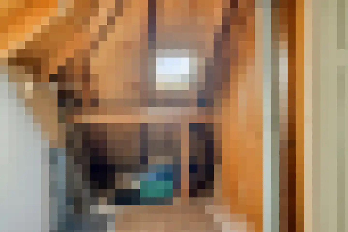 Wijheseweg 6 Raalte thumbnail 24