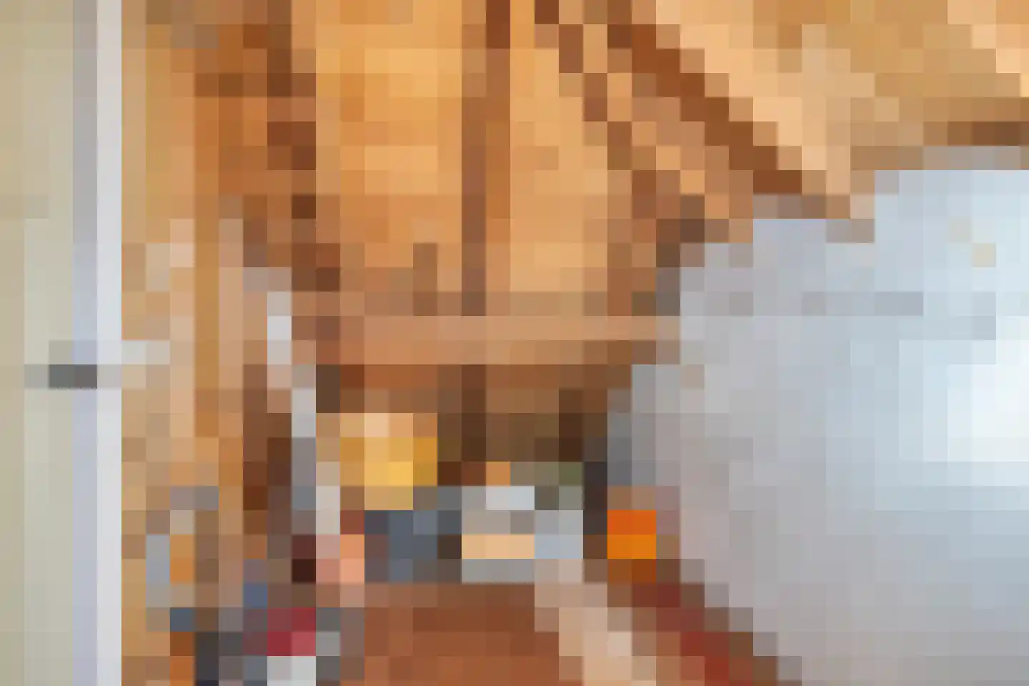 Wijheseweg 6 Raalte thumbnail 25