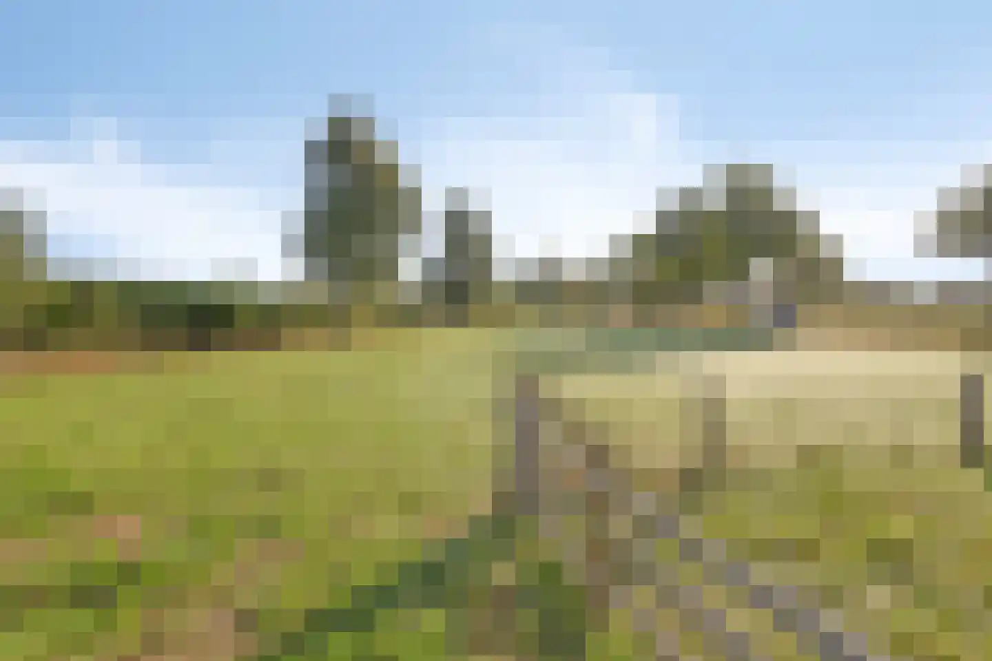 Wijheseweg 6 Raalte thumbnail 34