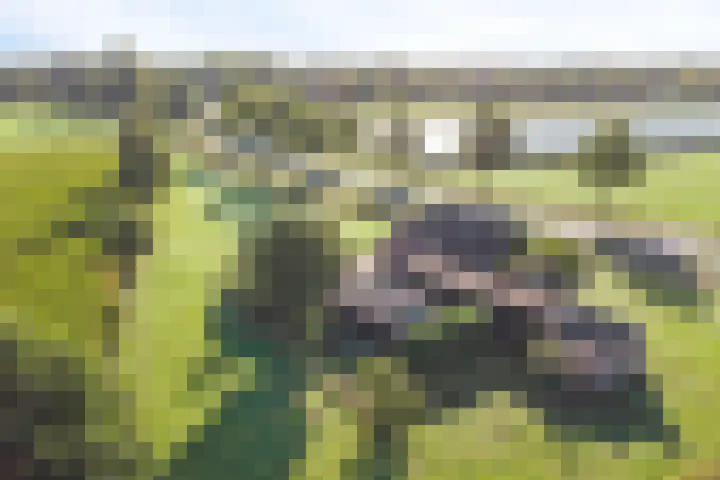 Wijheseweg 6 Raalte thumbnail 37