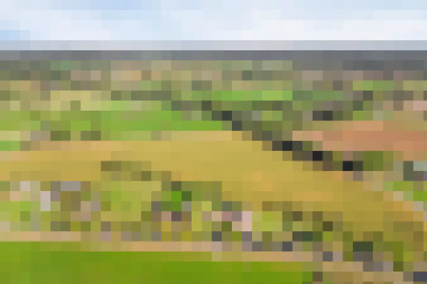 Wijheseweg 6 Raalte thumbnail 41