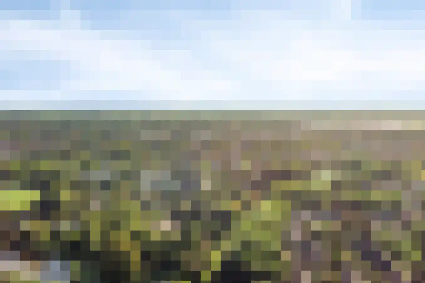 Wijheseweg 6 Raalte thumbnail 42