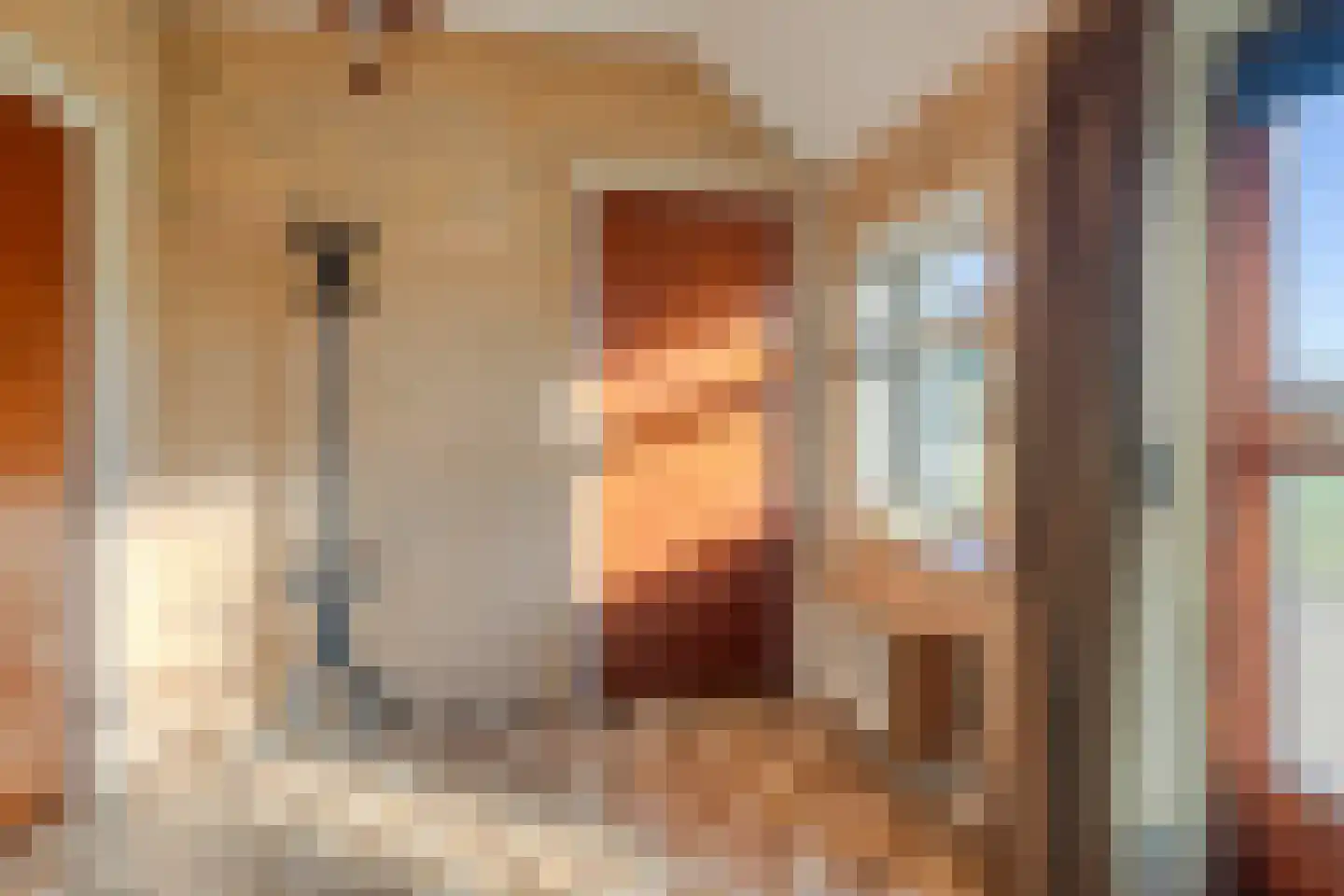 Wijheseweg 6 Raalte thumbnail 9