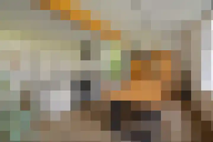 Wijheseweg 8 Olst thumbnail 10