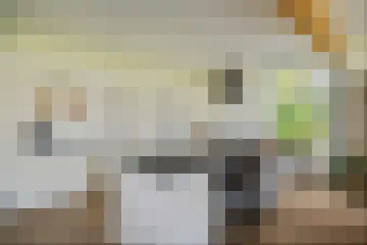 Wijheseweg 8 Olst thumbnail 11