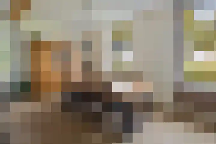 Wijheseweg 8 Olst thumbnail 12