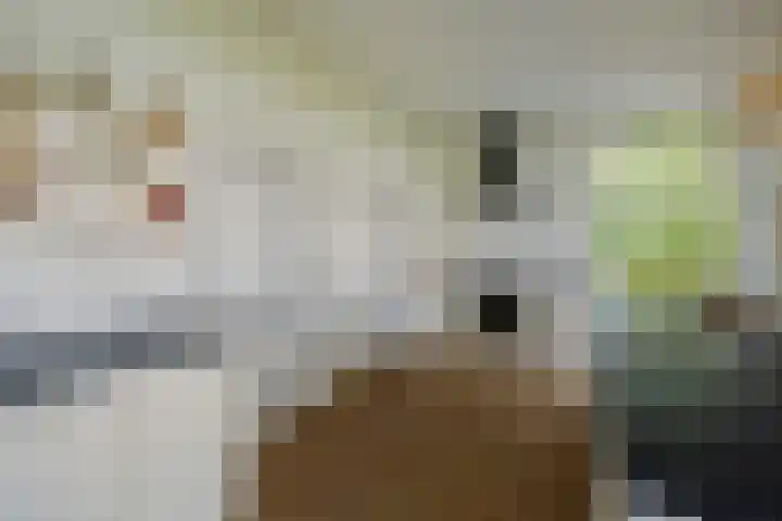 Wijheseweg 8 Olst thumbnail 13