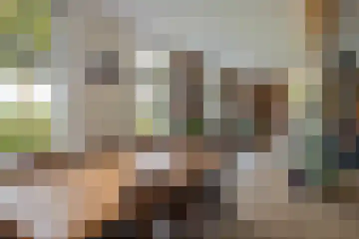 Wijheseweg 8 Olst thumbnail 15